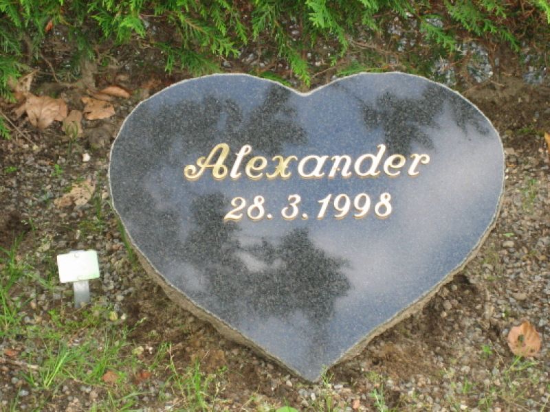 Alexander.jpg